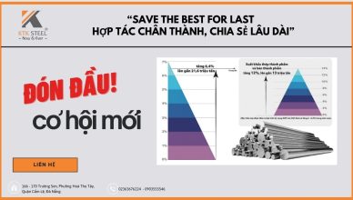 mo-rong-tam-anh-huong-trong-nganh-thep-don-dau-co-hoi-moi-1