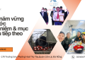 httpsktksteel.com20250703luu-nhap-tu-dong